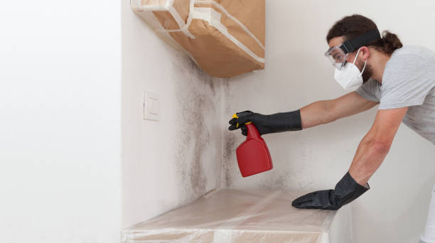 Professional Basement Mold Remediation technician working in Gilbert, AZ